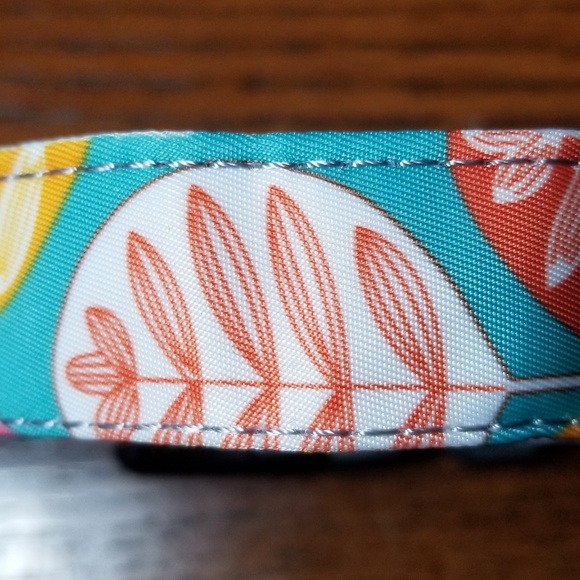 Dog Collar - Picture 5 of 8